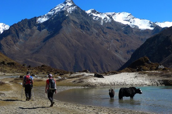 Laya Gasa Trek - il trekking più bello del Bhutan